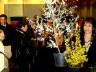 Y'en a qui se rire avec les couverts : elle, elle embarque les plantes vertes !